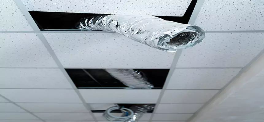 Our Air Duct Pet Hair Removal Services in Battle Ground, WA