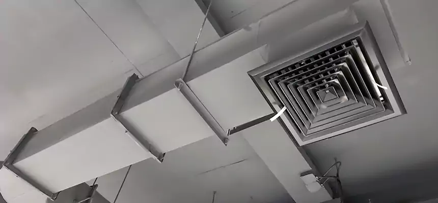 Our Pest Removal From Ducts Services in Battle Ground, WA