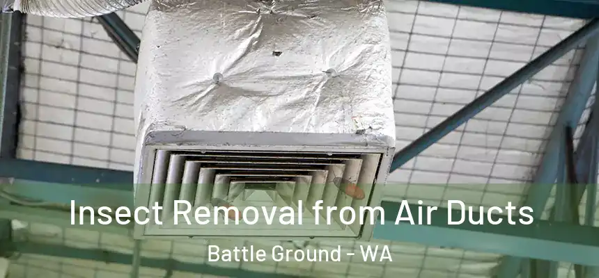  Insect Removal from Air Ducts Battle Ground - WA