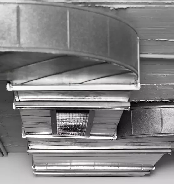 Professional Air Duct Pest Removal in Battle Ground, WA