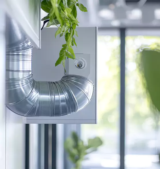 Professional Eco-Safe Dryer Vent Cleaning in Battle Ground, WA