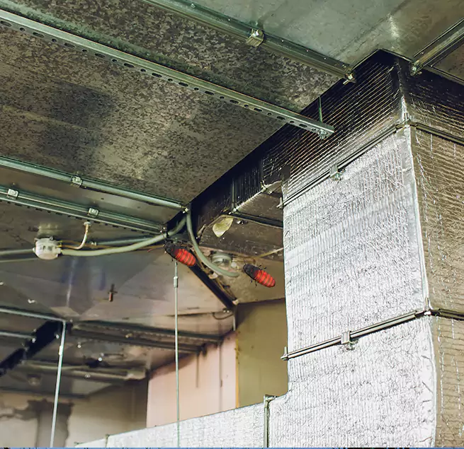 Why Homeowners & Businesses Trust Us in Battle Ground, WA?