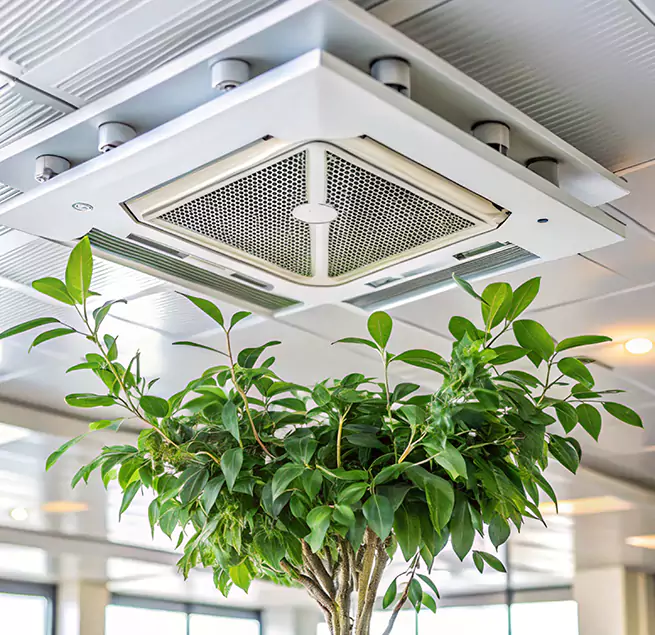 Why Homeowners & Businesses Trust Us in Battle Ground, WA