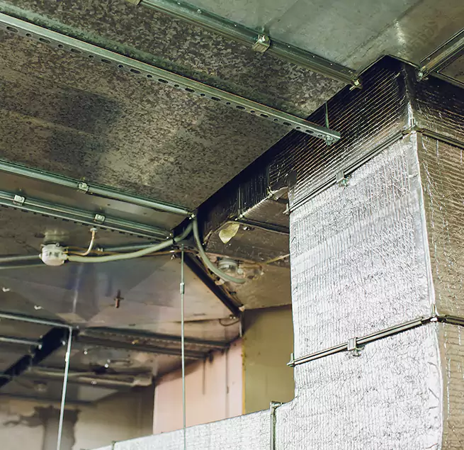 Why Homeowners & Businesses Trust Us in Battle Ground, WA?